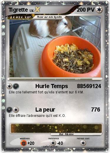 Pokemon Tigrette