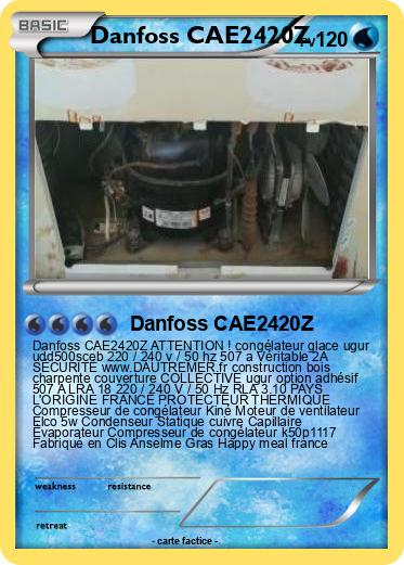 Pokemon Danfoss CAE2420Z