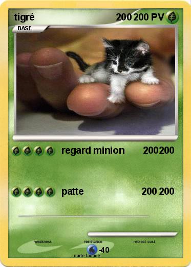 Pokemon tigré                               200