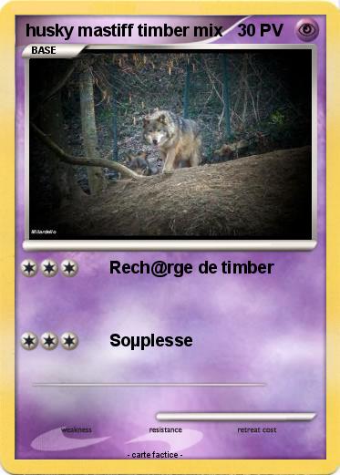 Pokemon husky mastiff timber mix