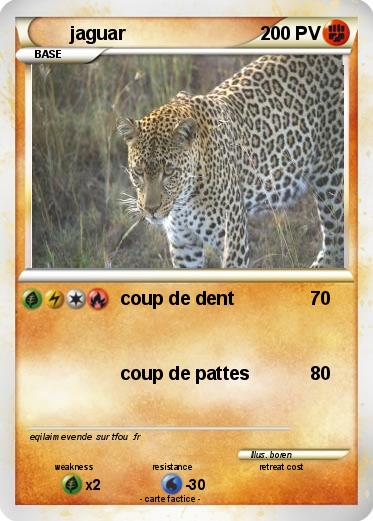 Pokemon jaguar