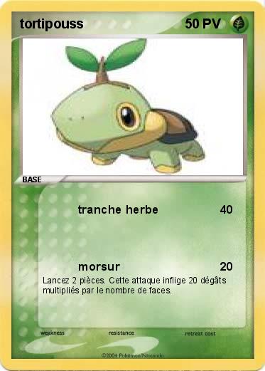 Pokemon tortipouss