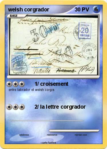 Pokemon welsh corgrador