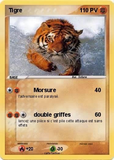 Pokemon Tigre