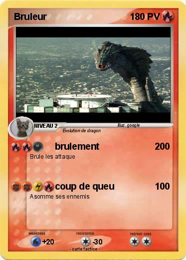 Pokemon Bruleur