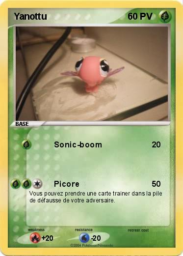 Pokemon Yanottu