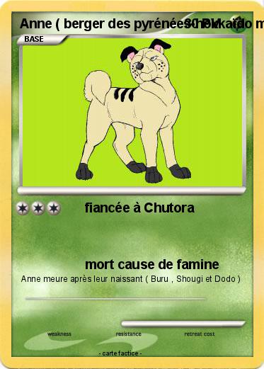 Pokemon Anne ( berger des pyrénées-hokkaïdo mix )
