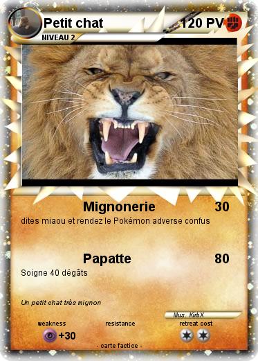 Pokemon Petit chat
