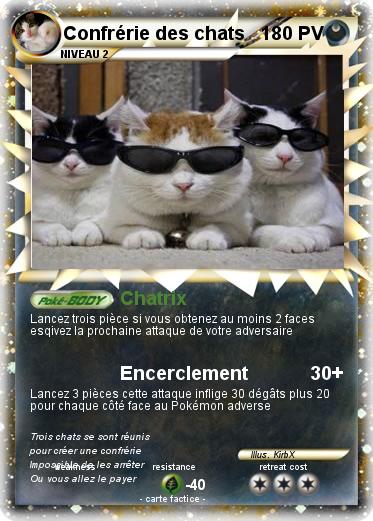 Pokemon Confrérie des chats
