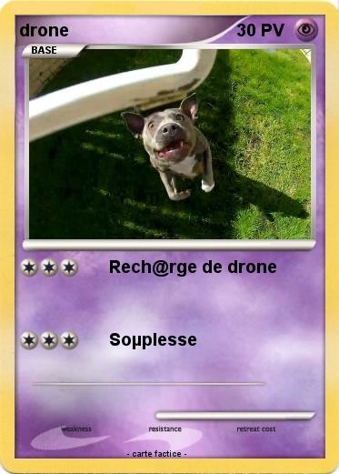 Pokemon drone