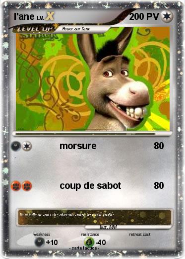 Pokemon l'ane