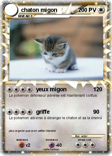 Pokemon chaton migon