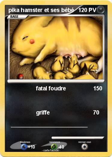 Pokemon pika hamster et ses bébé