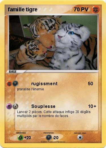 Pokemon famille tigre