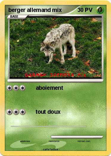 Pokemon berger allemand mix