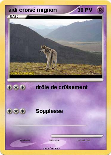 Pokemon aïdi croisé mignon