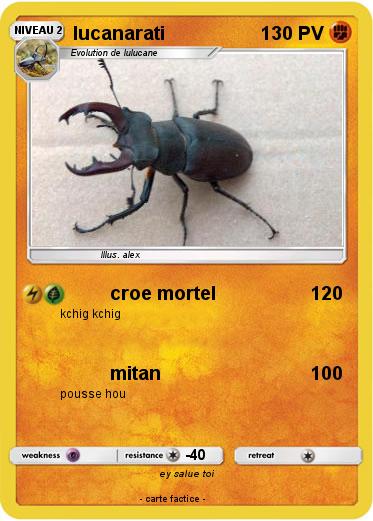 Pokemon lucanarati