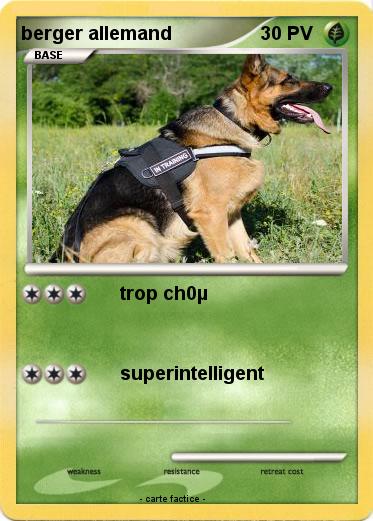 Pokemon berger allemand