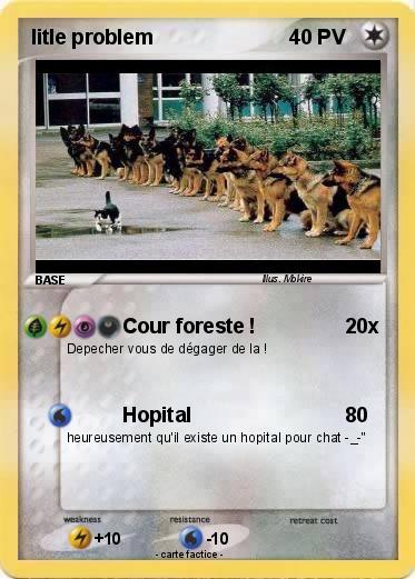 Pokemon litle problem