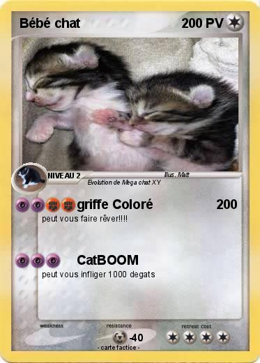 Pokemon Bébé chat