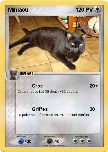 Pokemon Miniaou