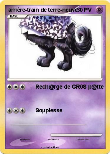 Pokemon arrière-train de terre-neuve