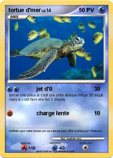 Pokemon tortue d'mer