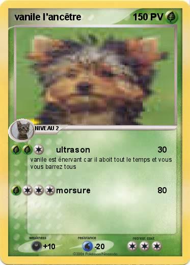 Pokemon vanile l'ancêtre