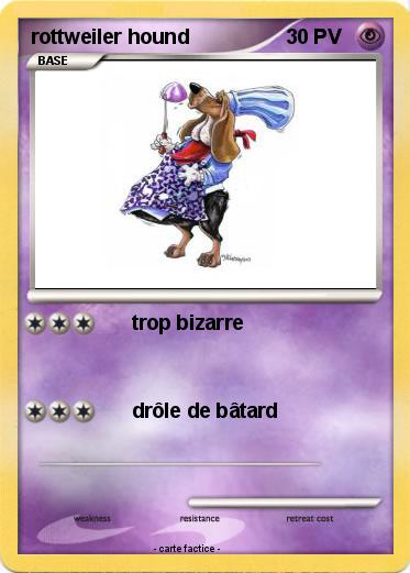 Pokemon rottweiler hound