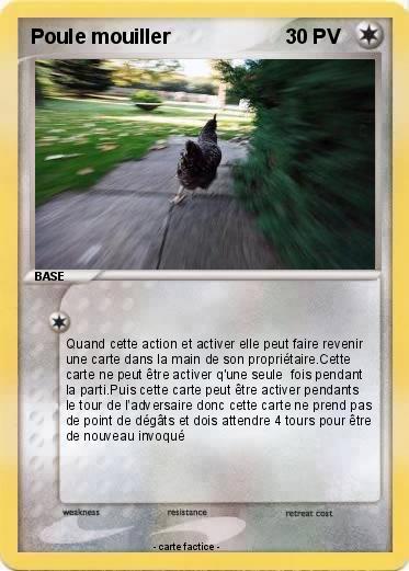 Pokemon Poule mouiller