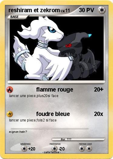 Pokemon reshiram et zekrom