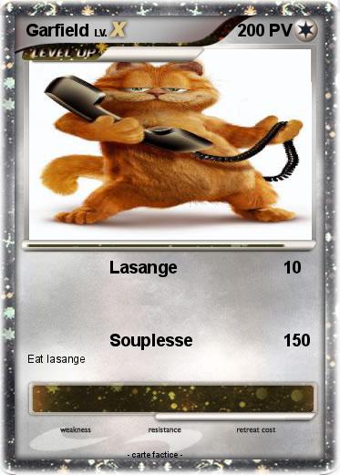 Pokemon Garfield