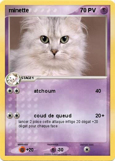 Pokemon minette