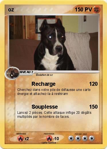 Pokemon oz