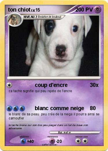 Pokemon ton chiot