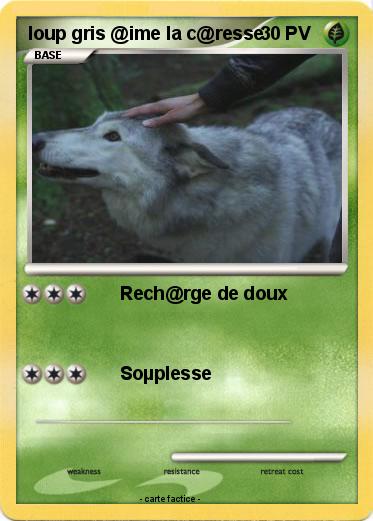 Pokemon loup gris @ime la c@resse