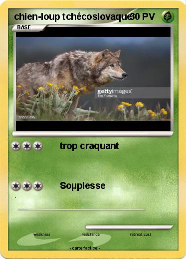 Pokemon chien-loup tchécoslovaque