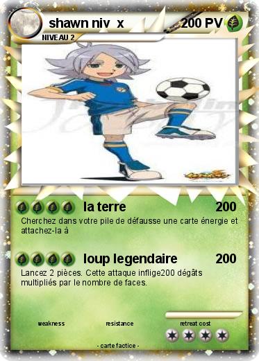 Pokemon shawn niv  x