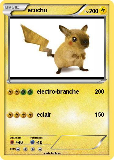 Pokemon ecuchu