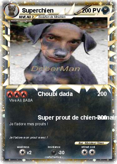 Pokemon Superchien