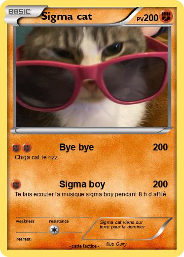 Pokemon Sigma cat