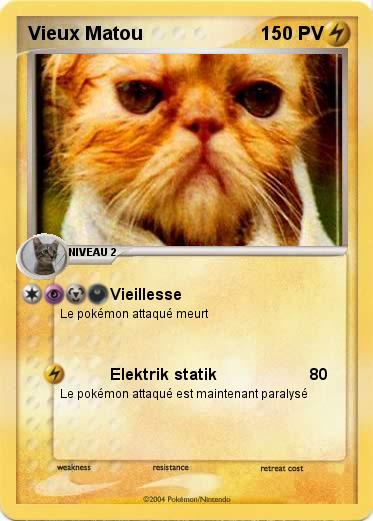 Pokemon Vieux Matou