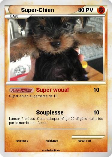 Pokemon Super-Chien