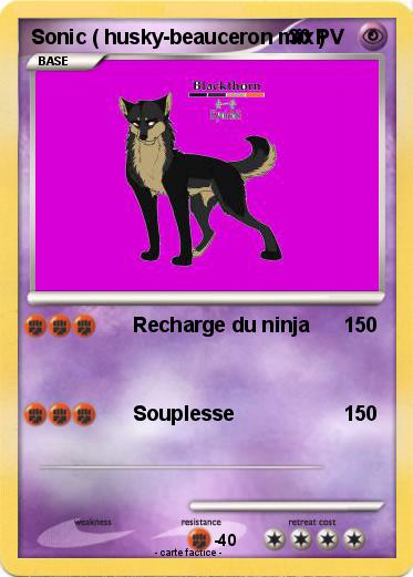 Pokemon Sonic ( husky-beauceron mix )