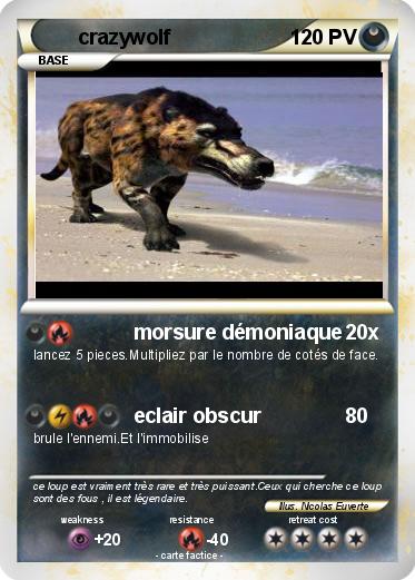 Pokemon crazywolf