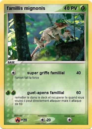 Pokemon famillis mignonis