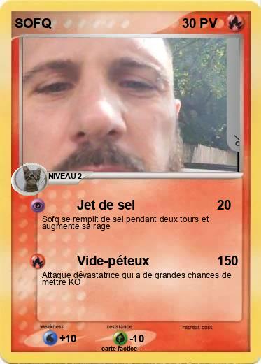 Pokemon SOFQ