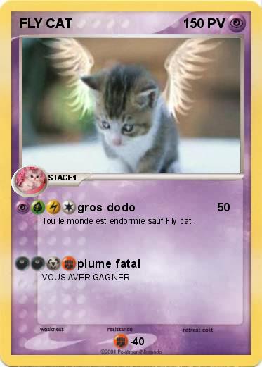 Pokemon FLY CAT