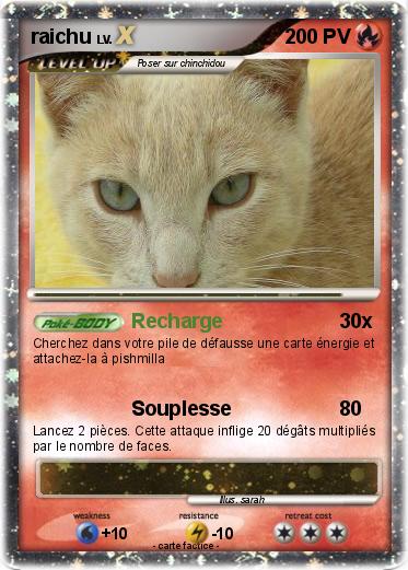 Pokemon raichu