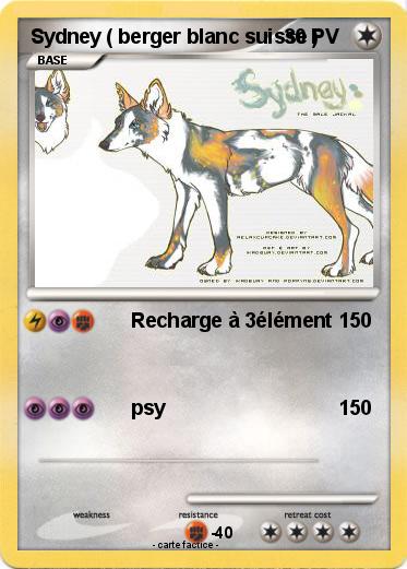 Pokemon Sydney ( berger blanc suisse )